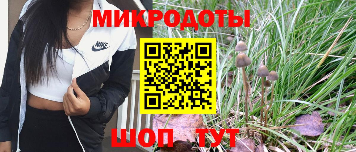 Новочеркасск  Псилоцибиновые грибы Psilocybe  Вход с VPN 